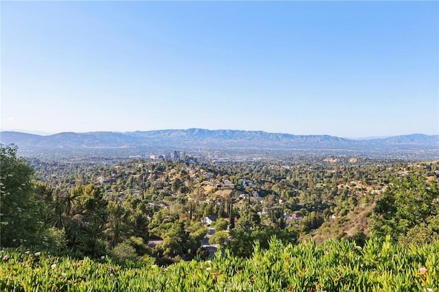 1165 Cherokee, Topanga, CA 90290 - photo 42