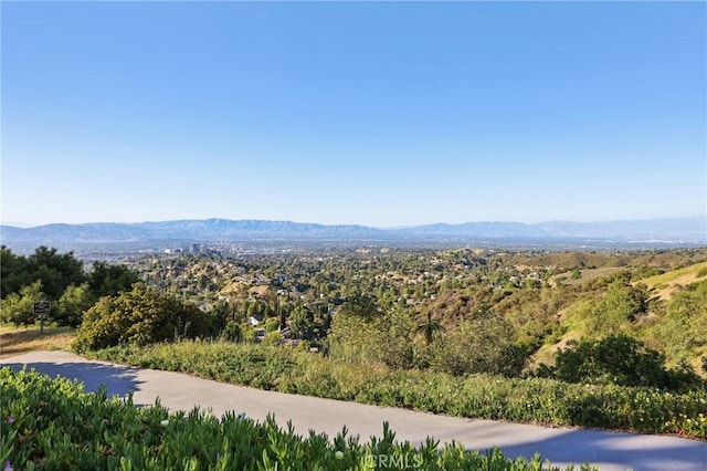 1165 Cherokee, Topanga, CA 90290 - photo 41