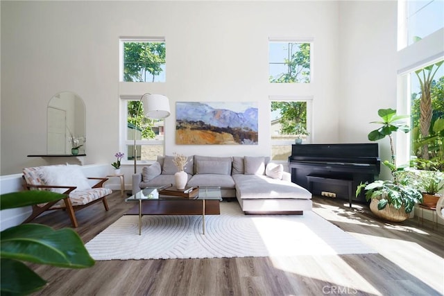 2902 Easton Pl, Rowland Heights, CA 91748 - living area with a high ceiling, plenty of natural light, and wood finished floors