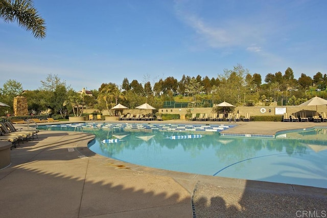 7845 Caminito Camelia, San Diego, CA 92127 - community pool with a patio and view of wooded area