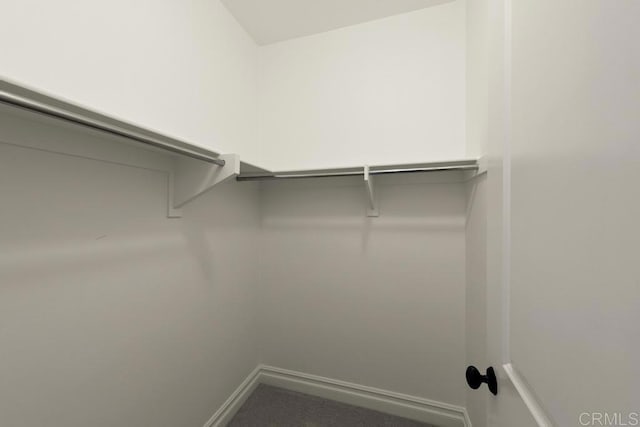 7845 Caminito Camelia, San Diego, CA 92127 - view of spacious closet