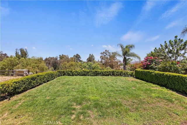 1825 Duncan Way, Corona, CA 92881 - view of yard