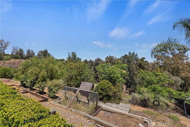 1825 Duncan Way, Corona, CA 92881 - view of home's community with a garden
