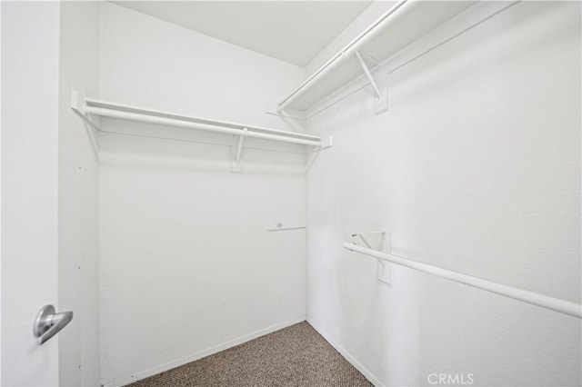 3501 W Greentree Cir Unit F, Anaheim, CA 92804 - walk in closet with carpet floors