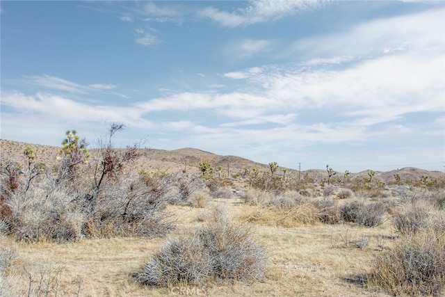 59525 La Crescenta Dr, Yucca Valley, CA 92284
