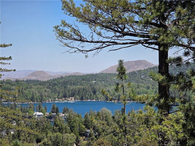 551 Raccoon Ct, Lake Arrowhead, CA 92352 - water view featuring a heavily wooded area and a mountainous background