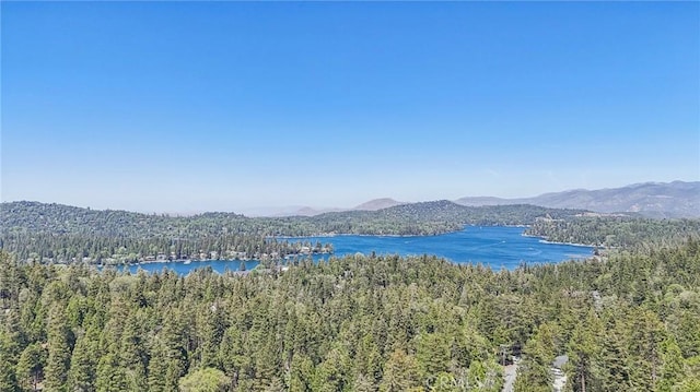 551 Raccoon Ct, Lake Arrowhead, CA 92352 - water view featuring a heavily wooded area and a mountain backdrop