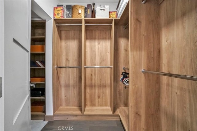 14347 Albers St Unit 207, Sherman Oaks, CA 91401 - view of spacious closet