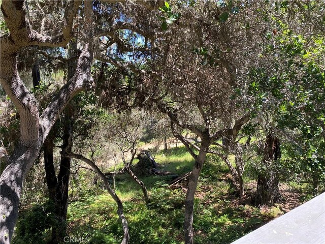 2598 Emerson Rd, Cambria, CA 93428 - photo 57