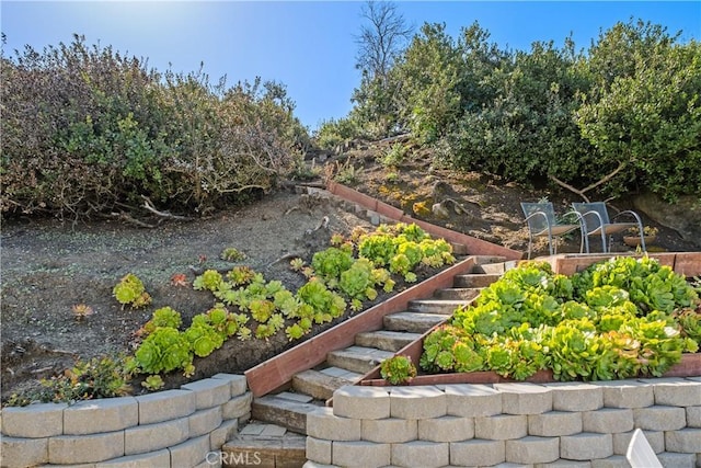 901 Summit Dr, Laguna Beach, CA 92651 - view of yard featuring stairway