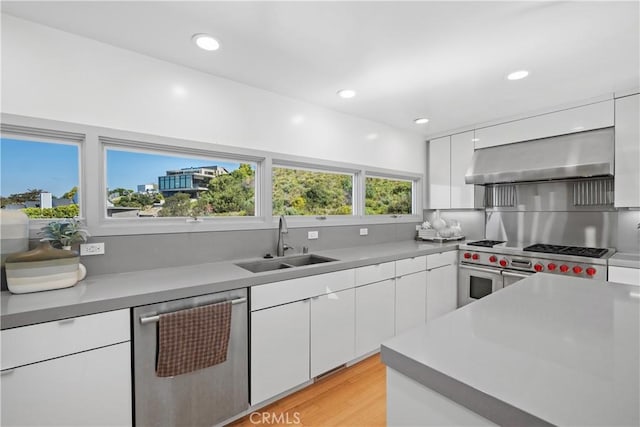 901 Summit Dr, Laguna Beach, CA 92651 - kitchen with stainless steel appliances, a sink, ventilation hood, white cabinetry, and modern cabinets