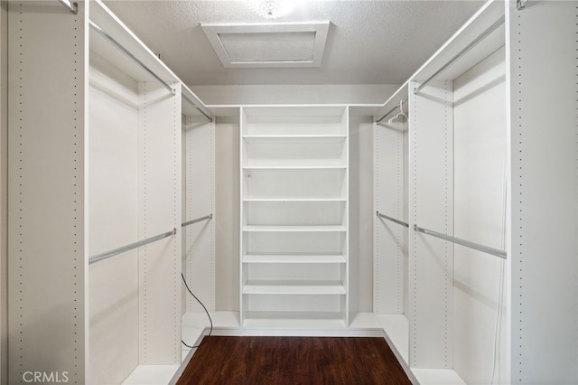 9331 E Mesa Ave, Clovis, CA 93619 - spacious closet featuring dark wood-style flooring
