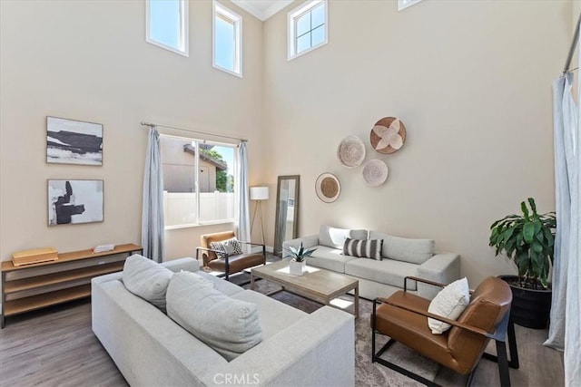 26273 Palm Tree Ln, Murrieta, CA 92563 - living area featuring a high ceiling and wood finished floors
