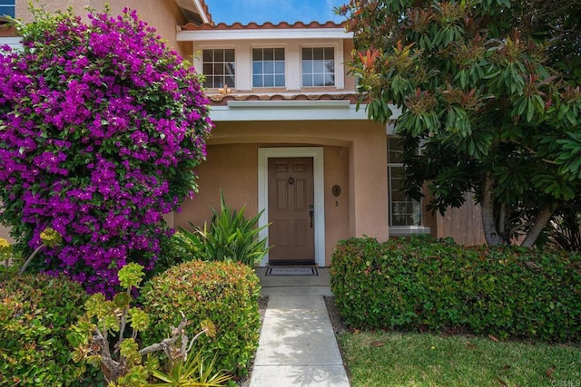 513 Shadow Tree Dr, Oceanside, CA 92058 - property entrance featuring stucco siding and a tiled roof