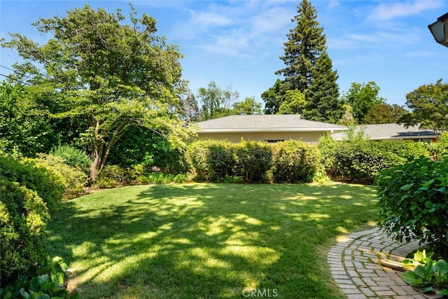 1671 Plumas Way, Chico, CA 95926 - view of green lawn