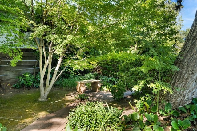 1671 Plumas Way, Chico, CA 95926 - view of yard