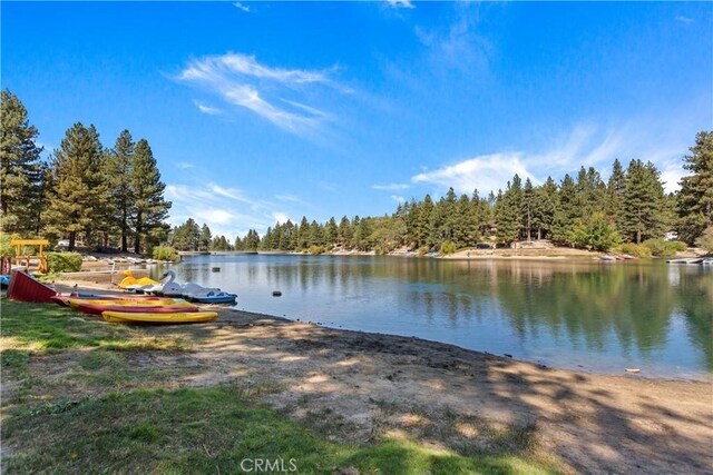 582 Beechnut Dr, Green Valley Lake, CA 92341 - photo 21
