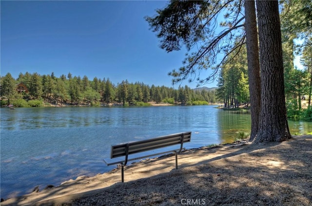 582 Beechnut Dr, Green Valley Lake, CA 92341 - photo 25