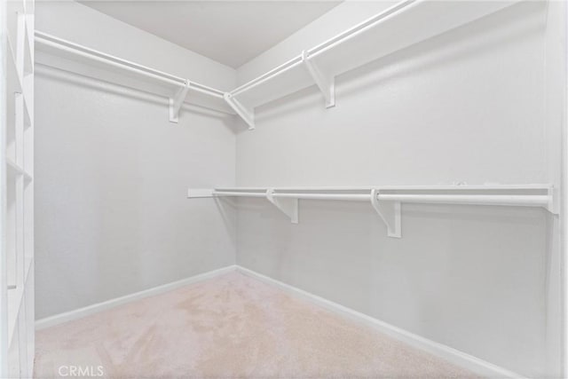 25541 Indian Hill Ln Unit P, Laguna Hills, CA 92653 - spacious closet with carpet