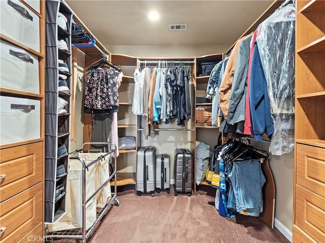 15242 Poppy Meadow St, Canyon Country, CA 91387 - walk in closet featuring carpet floors