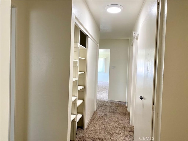 1017 W Prune Ave, Lompoc, CA 93436 - hall with carpet flooring