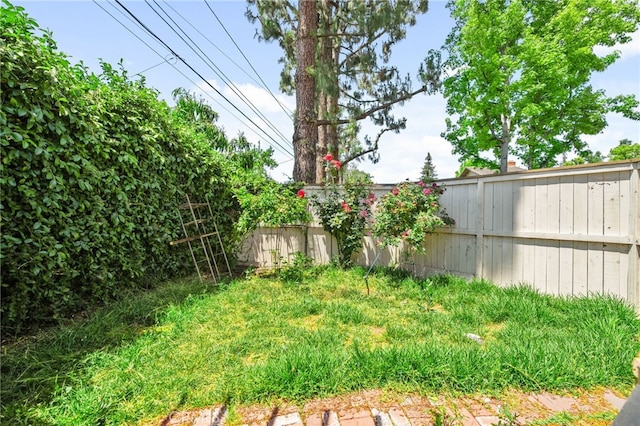 1725 Aspen Village Way, West Covina, CA 91791 - view of yard