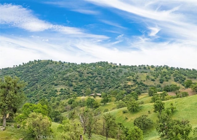 29300 Horsethief Dr, Tehachapi, CA 93561 - photo 11