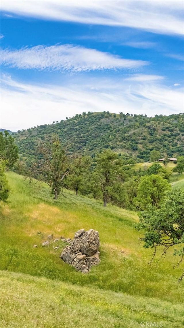 29300 Horsethief Dr, Tehachapi, CA 93561 - photo 3