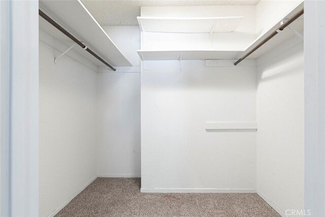 465 Ivy St Unit 203, Glendale, CA 91204 - spacious closet with carpet flooring and attic access