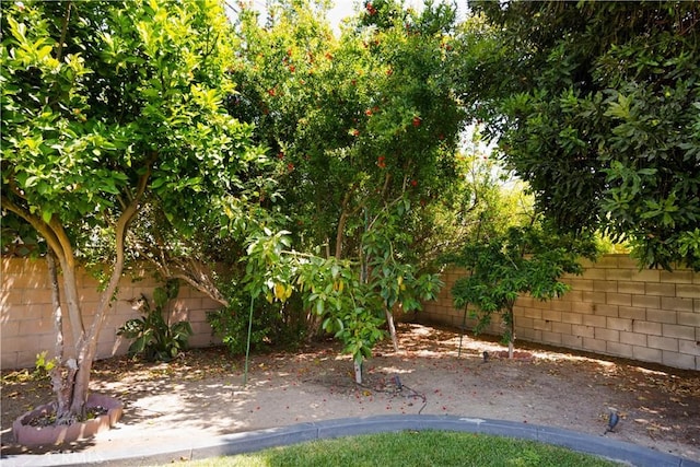 15952 Norcrest Dr, Whittier, CA 90604 - fenced backyard featuring a patio