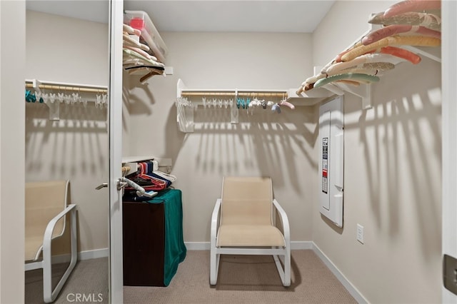 223 Carlow, Irvine, CA 92618 - walk in closet with carpet