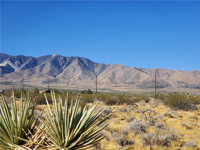 0 Buena Vista Rd, Lucerne Valley, CA 92356