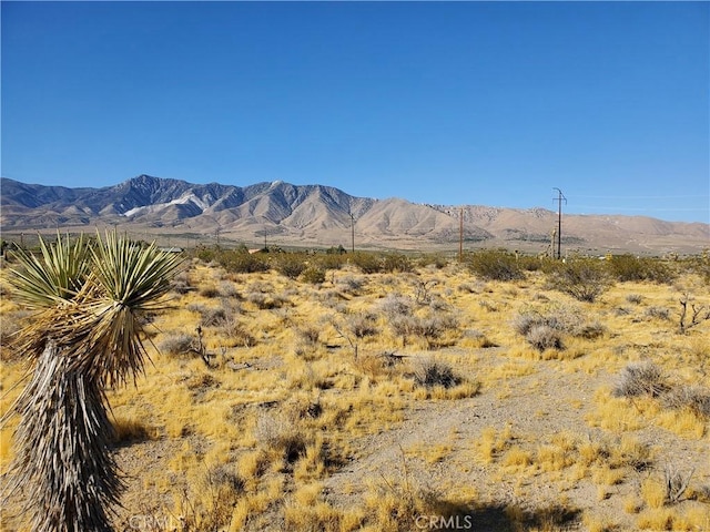 0 Buena Vista Rd, Lucerne Valley, CA 92356