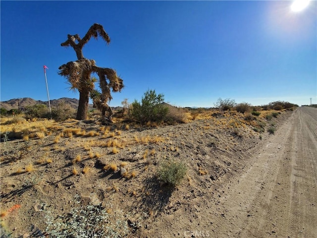 0 Buena Vista Rd, Lucerne Valley, CA 92356