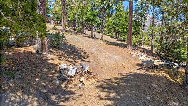 10820 Bonita Way, Wofford Heights, CA 93285 - view of yard
