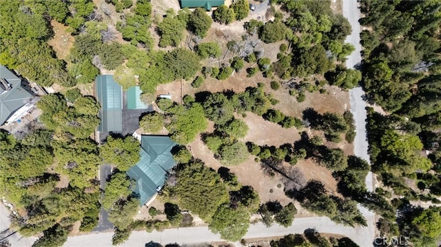 10820 Bonita Way, Wofford Heights, CA 93285 - aerial view