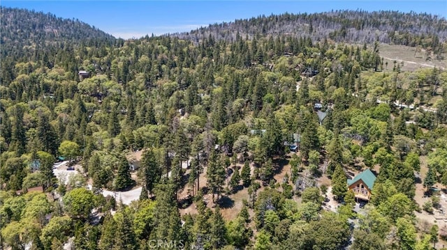 10820 Bonita Way, Wofford Heights, CA 93285 - aerial view of property and surrounding area with a heavily wooded area