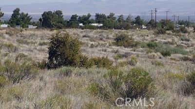 4 Wilson Ranch Rd, Phelan, CA 92371
