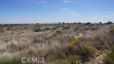 4 Wilson Ranch Rd, Phelan, CA 92371