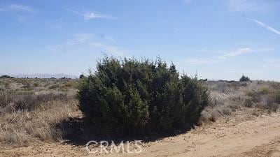 4 Wilson Ranch Rd, Phelan, CA 92371