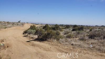 4 Wilson Ranch Rd, Phelan, CA 92371
