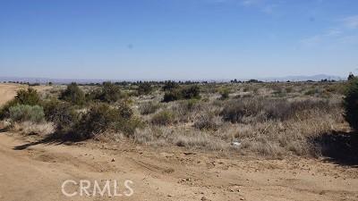 4 Wilson Ranch Rd, Phelan, CA 92371