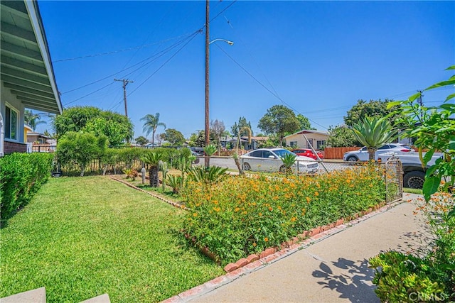 521 W Erna Ave, La Habra, CA 90631 - view of yard