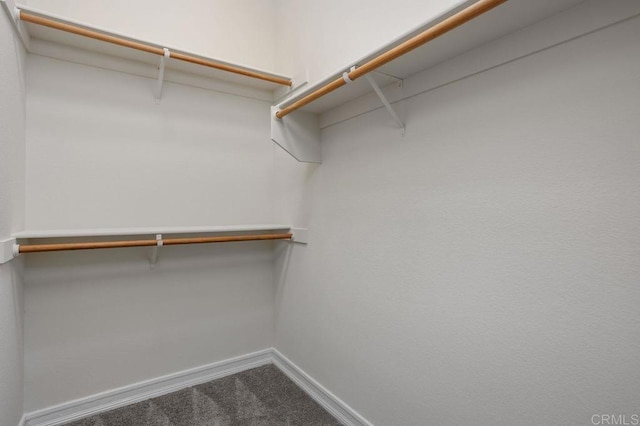 435 Sandalwood Ct, Encinitas, CA 92024 - walk in closet with carpet floors