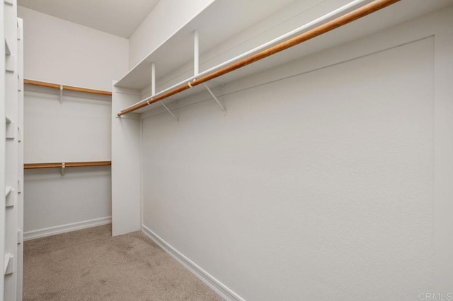 435 Sandalwood Ct, Encinitas, CA 92024 - walk in closet with carpet