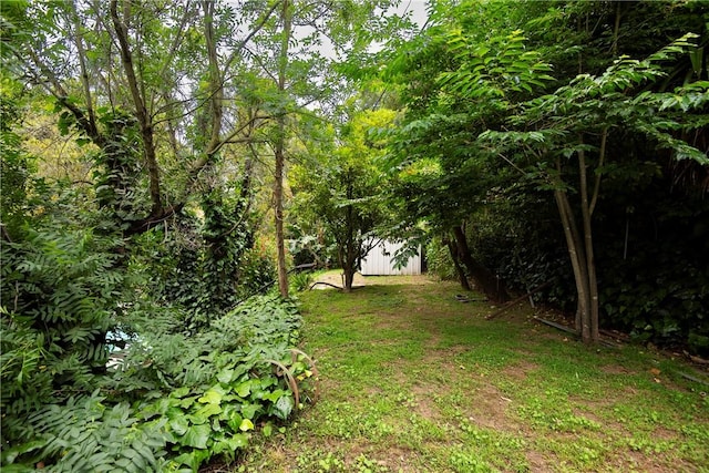 1731 Roscomare Rd, Los Angeles, CA 90077 - view of yard