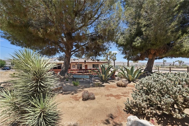 56287 Navajo Trl, Yucca Valley, CA 92284 - view of yard