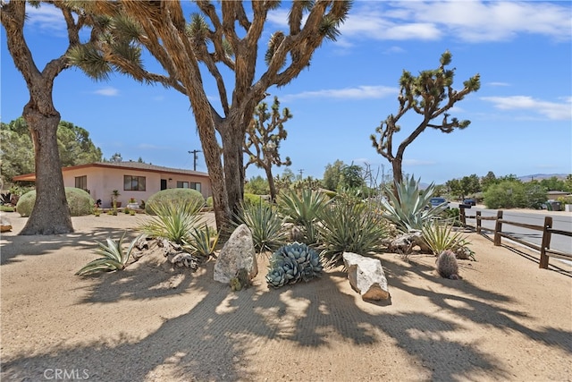 56287 Navajo Trl, Yucca Valley, CA 92284 - view of yard