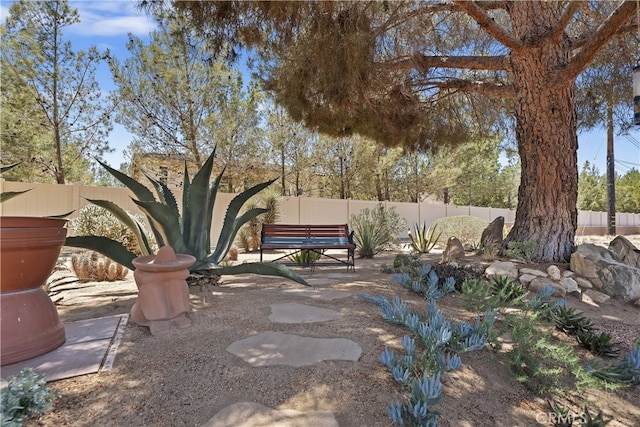 56287 Navajo Trl, Yucca Valley, CA 92284 - view of fenced backyard