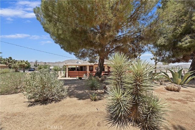 56287 Navajo Trl, Yucca Valley, CA 92284 - view of yard